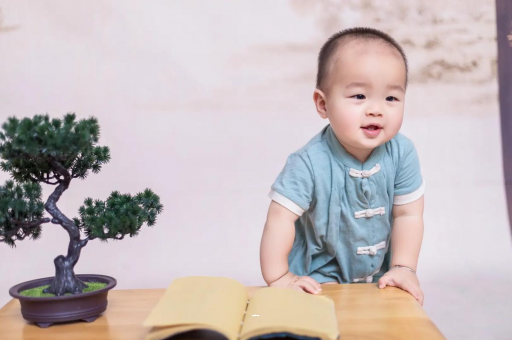 揭阳可爱的企鹅宝宝